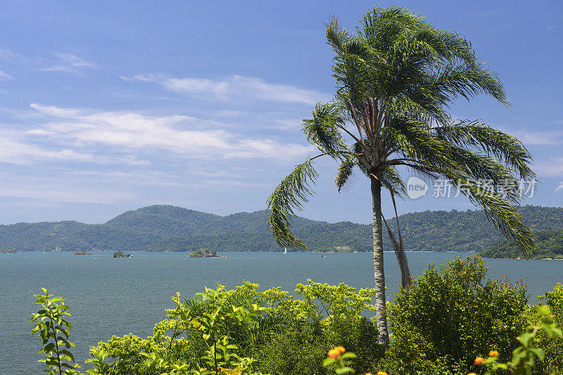 Paraty Bay -巴西